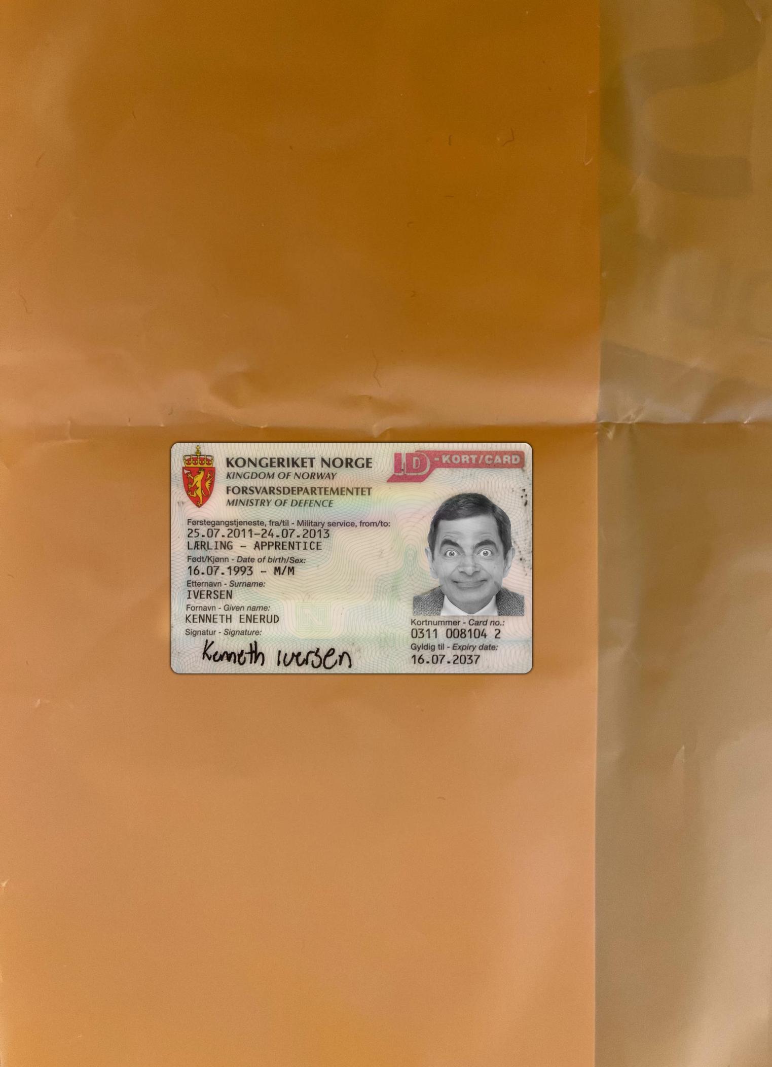 Realistic Norway ID kort card photolook download for verification